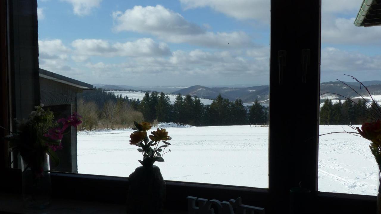 Aussichtsbauernhofpension Hof Gretchens Winterberg Exterior photo