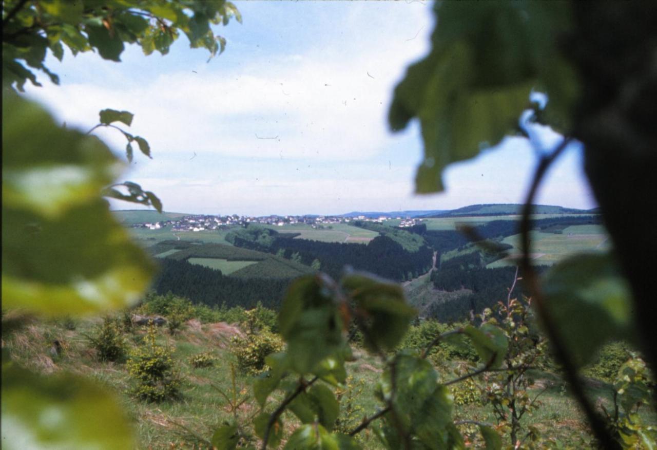 Aussichtsbauernhofpension Hof Gretchens Winterberg Exterior photo